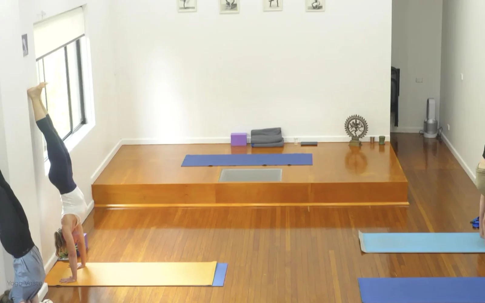 Online Iyengar yoga videos | Advanced Class 6: Expanding through the Chest and Collarbones