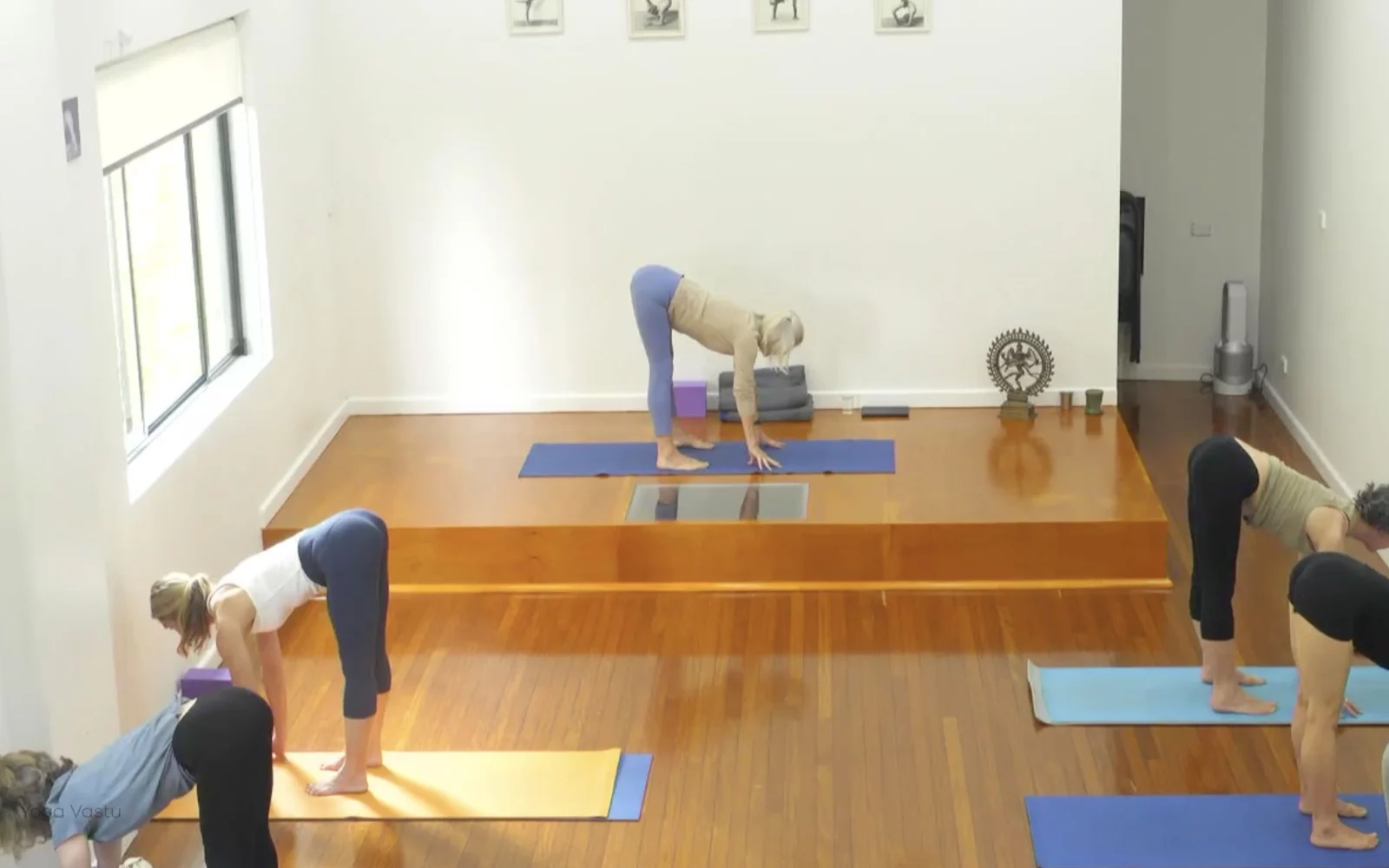 Online Iyengar yoga videos | Advanced Class 6: Expanding through the Chest and Collarbones