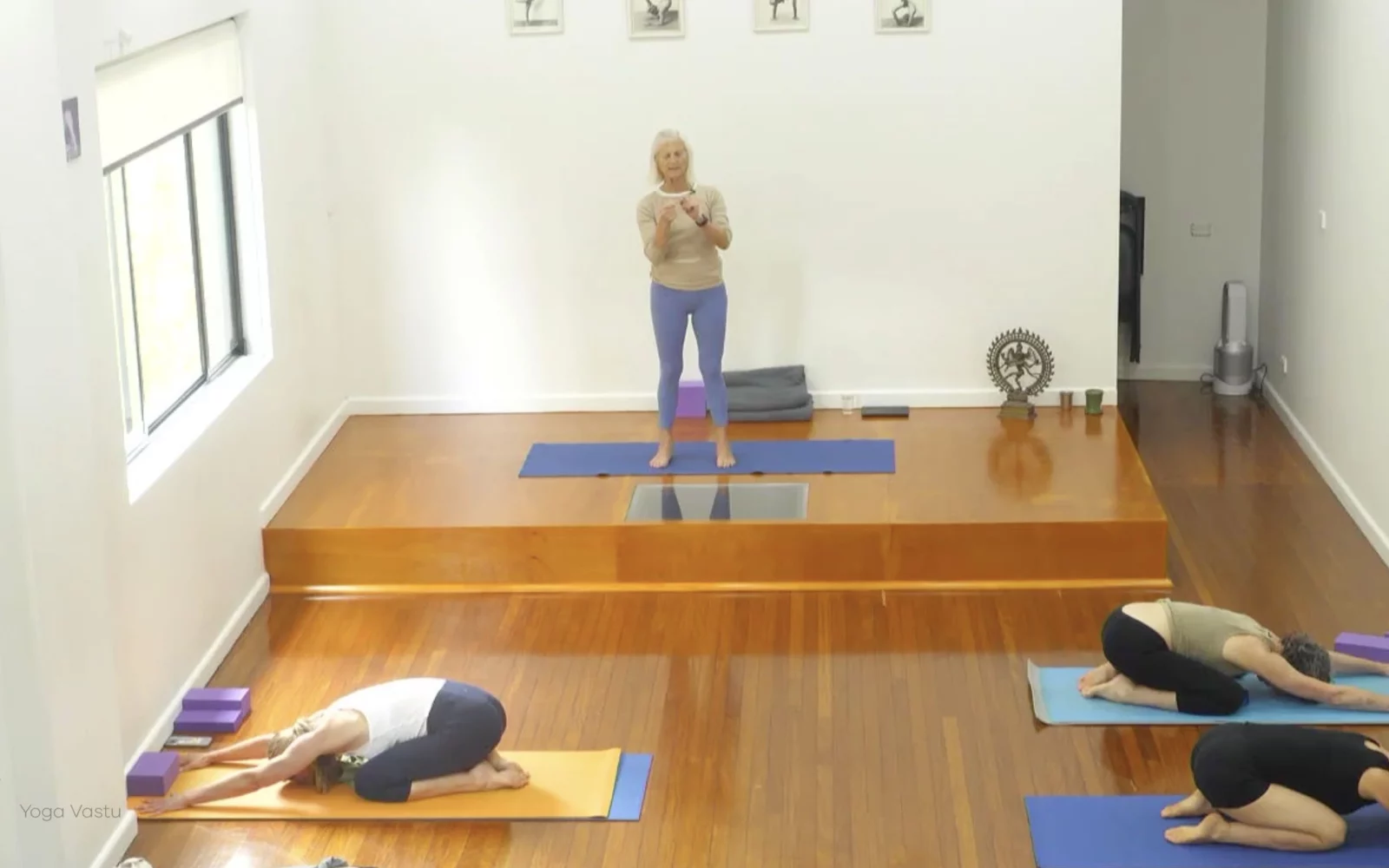 Online Iyengar yoga videos | Advanced Class 6: Expanding through the Chest and Collarbones