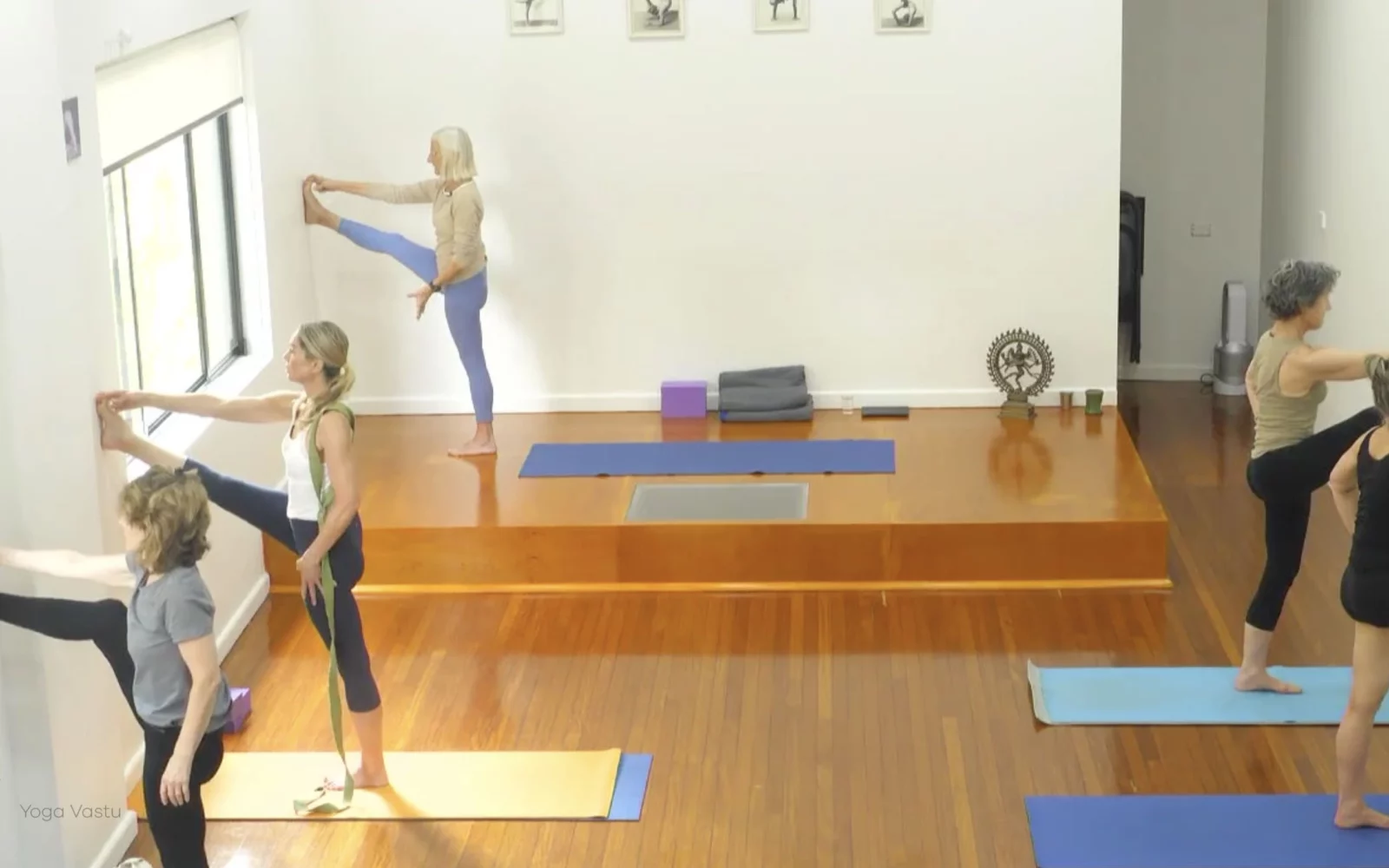 Online Iyengar yoga videos | Advanced Class 6: Expanding through the Chest and Collarbones