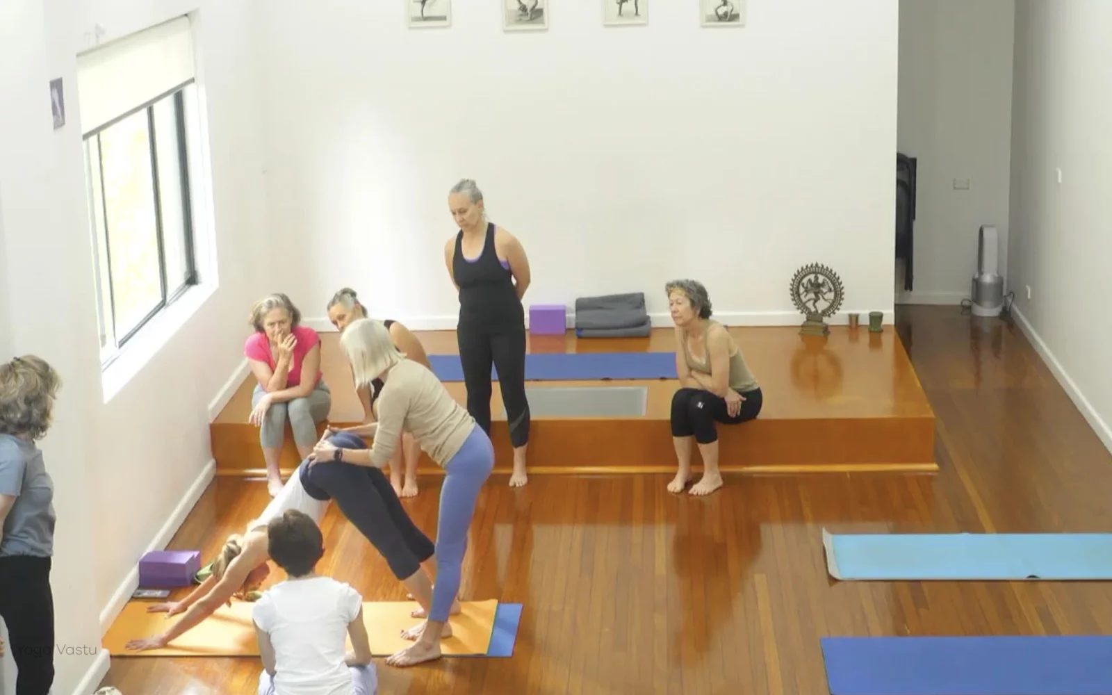 Online Iyengar yoga videos | Advanced Class 6: Expanding through the Chest and Collarbones