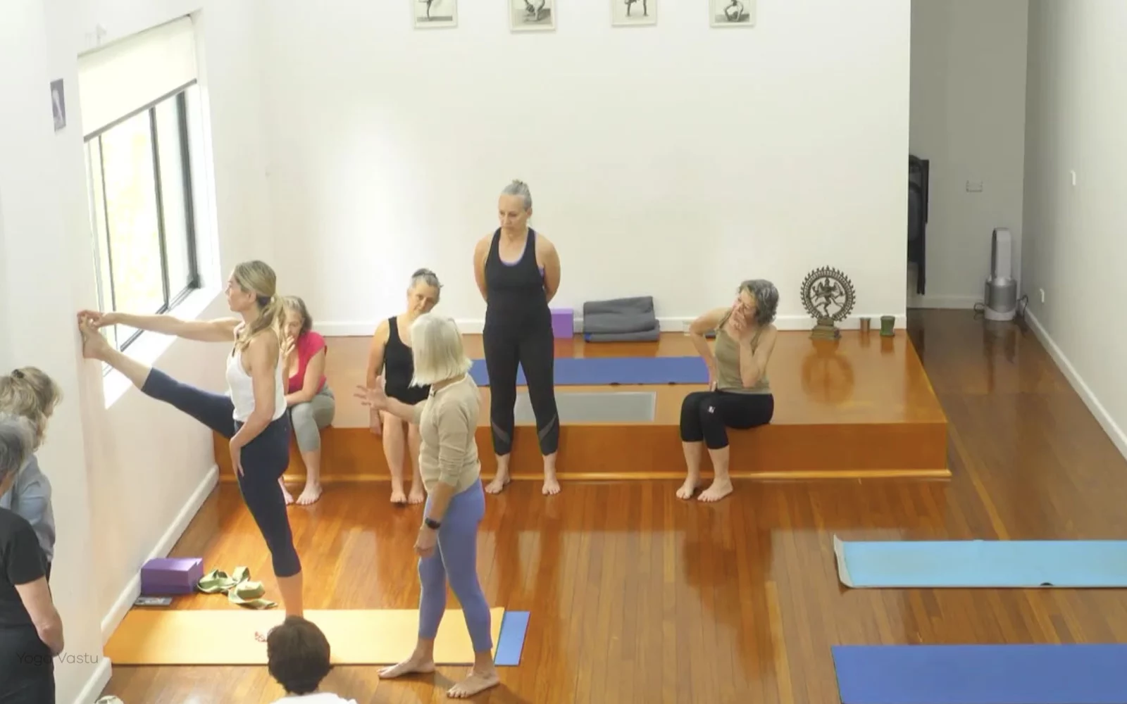 Online Iyengar yoga videos | Advanced Class 6: Expanding through the Chest and Collarbones