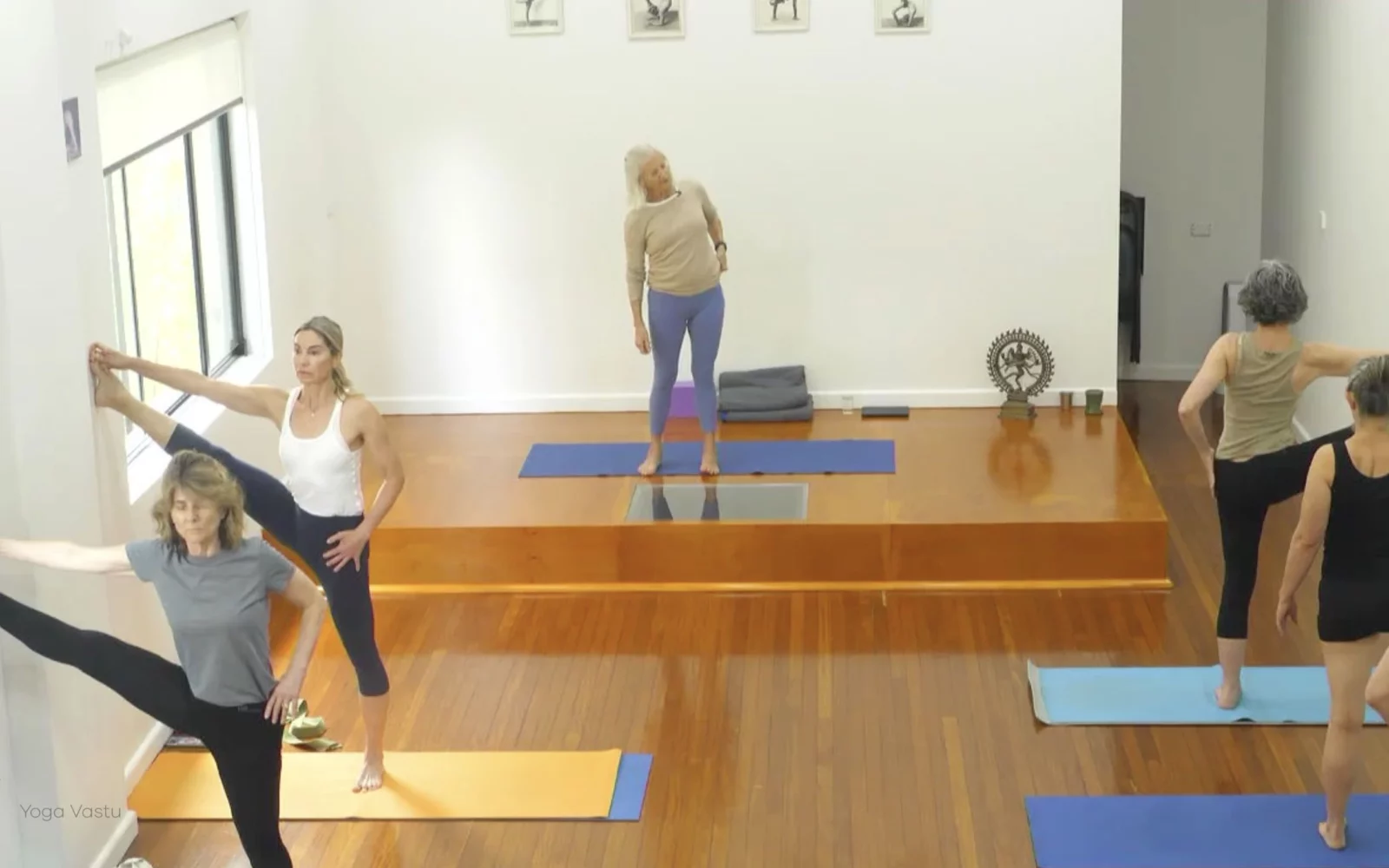 Online Iyengar yoga videos | Advanced Class 6: Expanding through the Chest and Collarbones