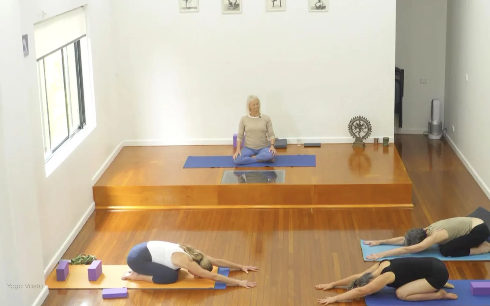 Online Iyengar yoga videos | Advanced Class 6: Expanding through the Chest and Collarbones