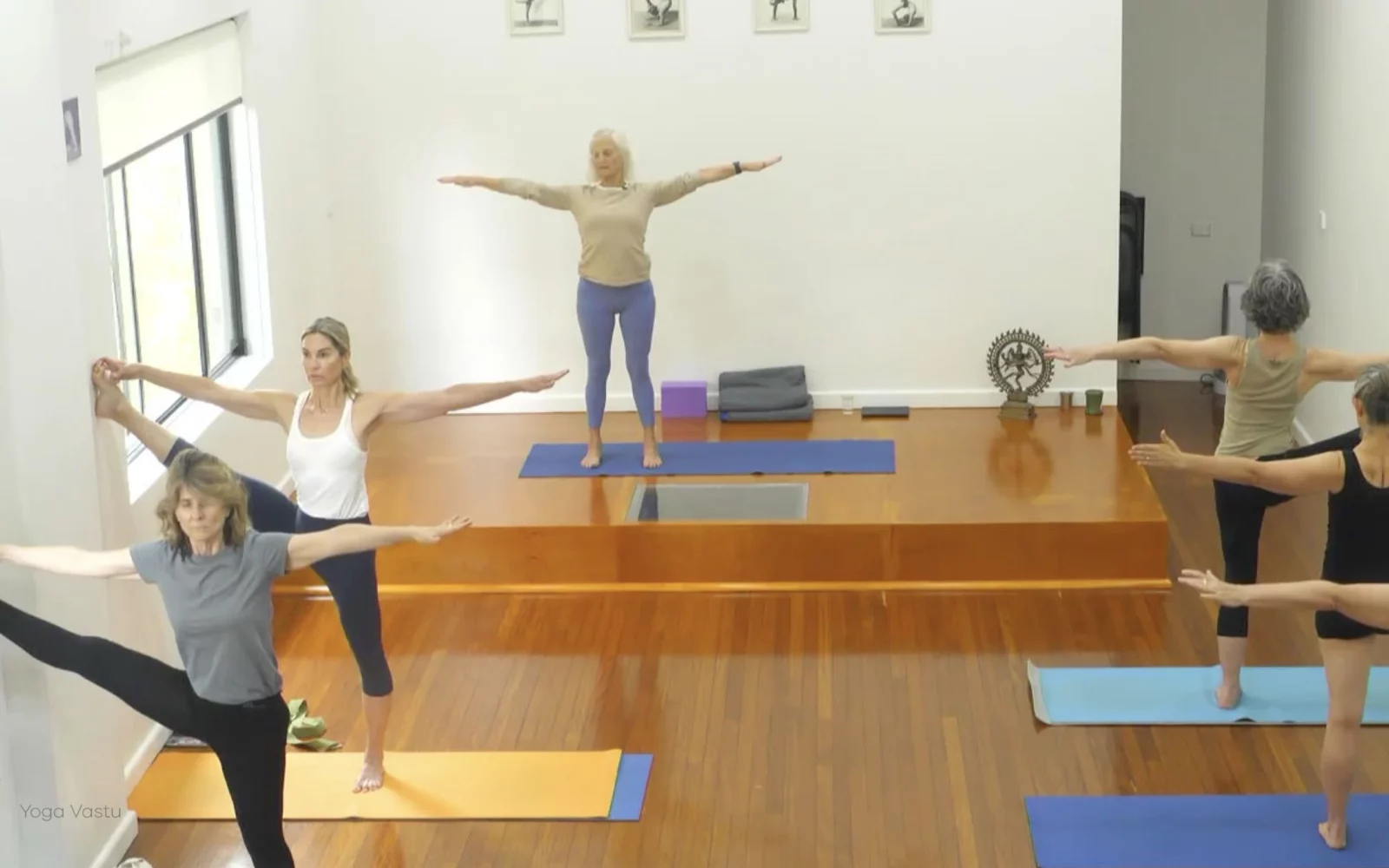 Online Iyengar yoga videos | Advanced Class 6: Expanding through the Chest and Collarbones