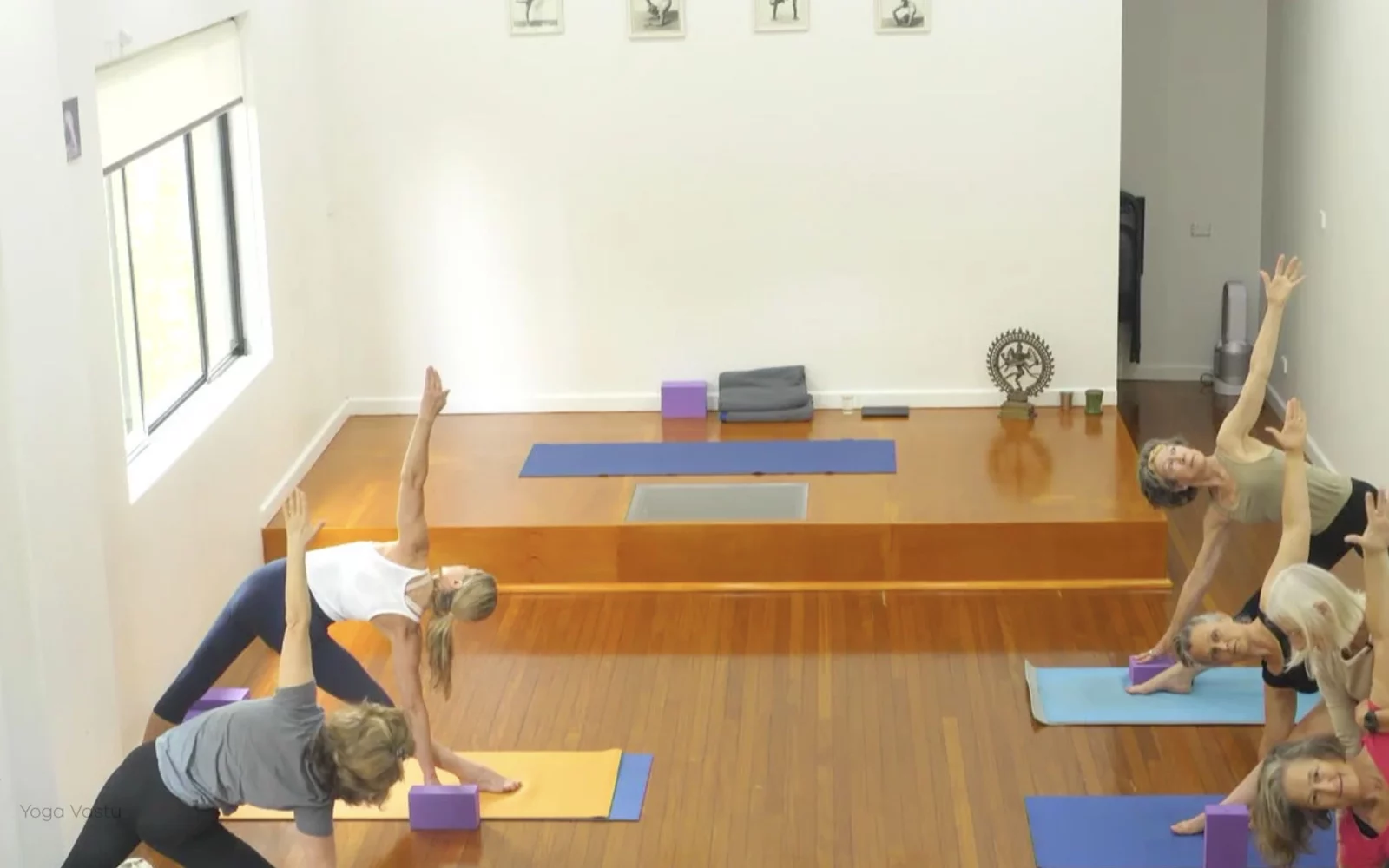 Online Iyengar yoga videos | Advanced Class 6: Expanding through the Chest and Collarbones