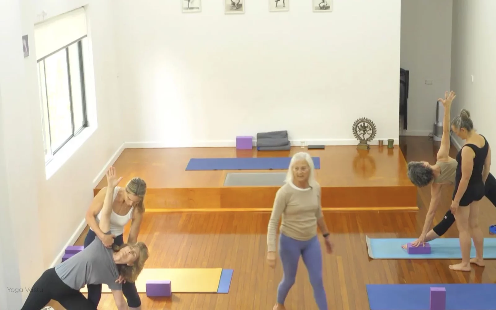 Online Iyengar yoga videos | Advanced Class 6: Expanding through the Chest and Collarbones