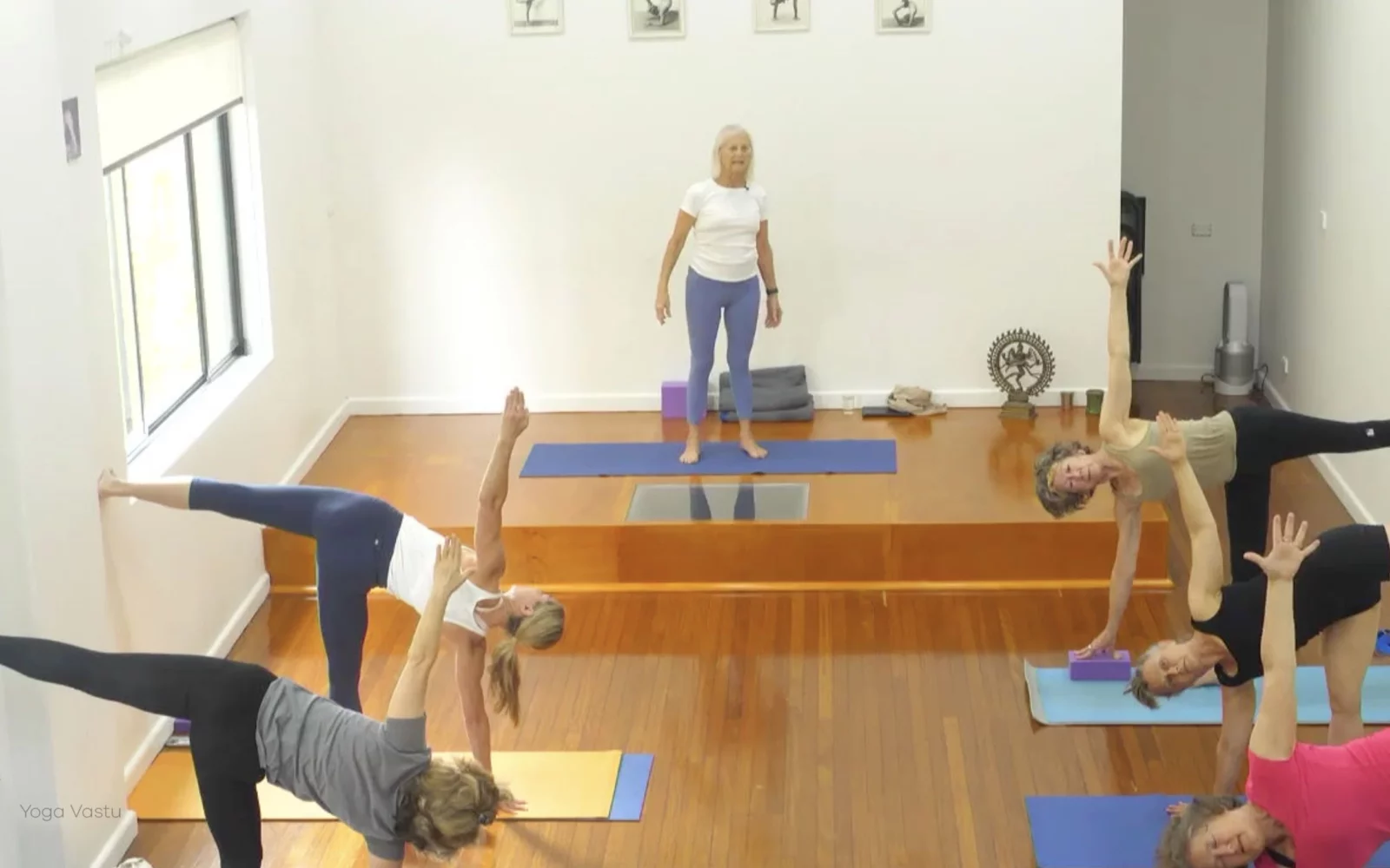 Online Iyengar yoga videos | Advanced Class 6: Expanding through the Chest and Collarbones
