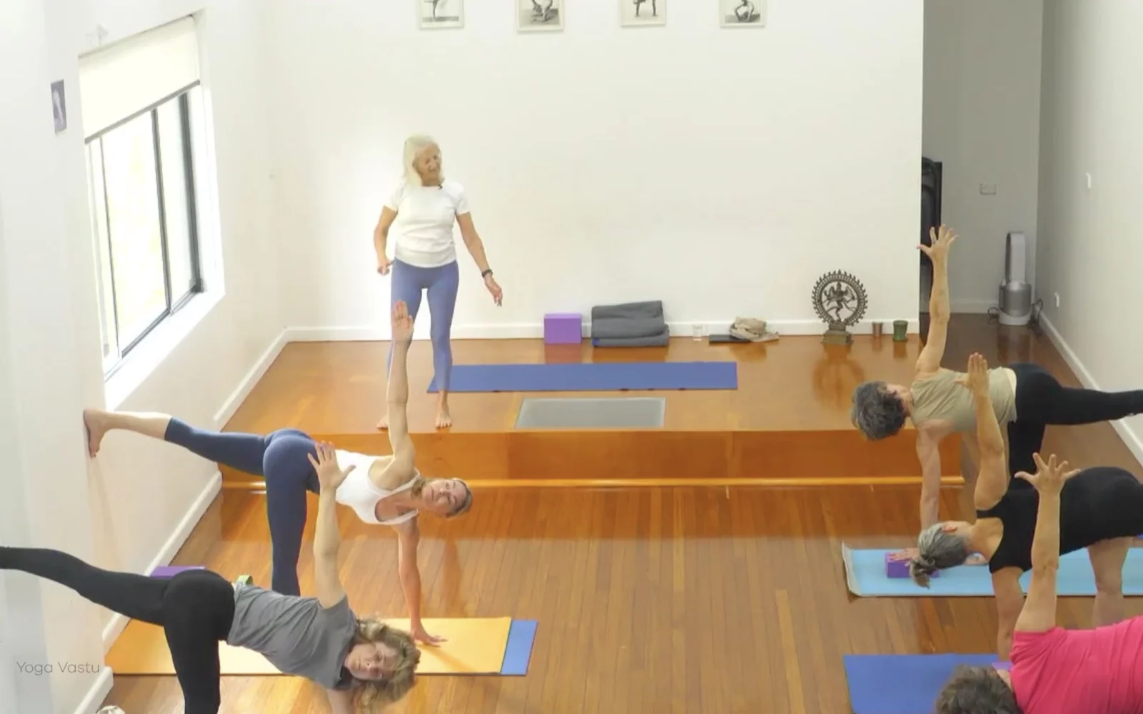 Online Iyengar yoga videos | Advanced Class 6: Expanding through the Chest and Collarbones