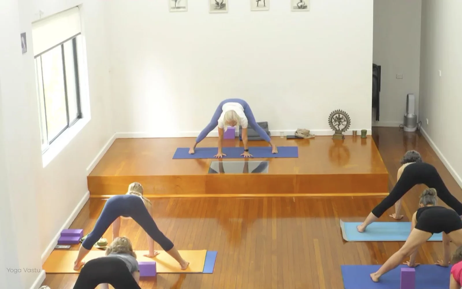 Online Iyengar yoga videos | Advanced Class 6: Expanding through the Chest and Collarbones