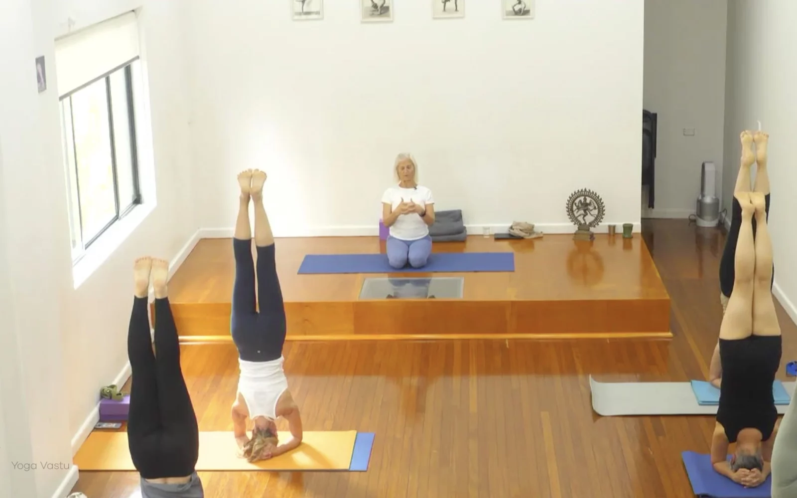 Online Iyengar yoga videos | Advanced Class 6: Expanding through the Chest and Collarbones