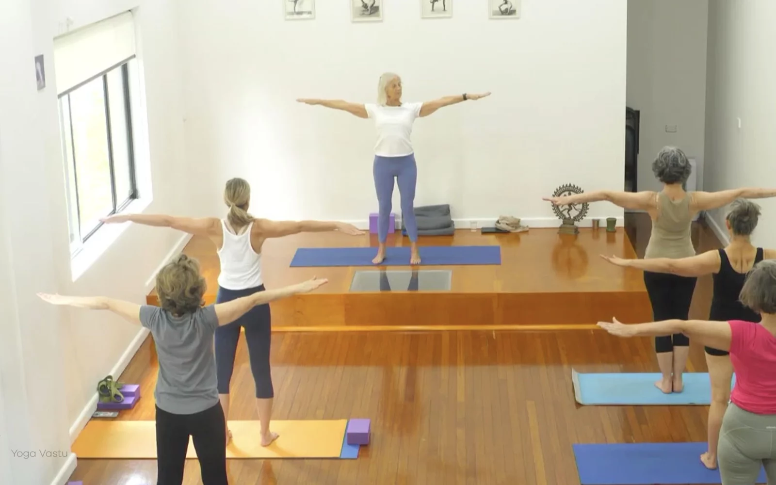 Online Iyengar yoga videos | Advanced Class 6: Expanding through the Chest and Collarbones