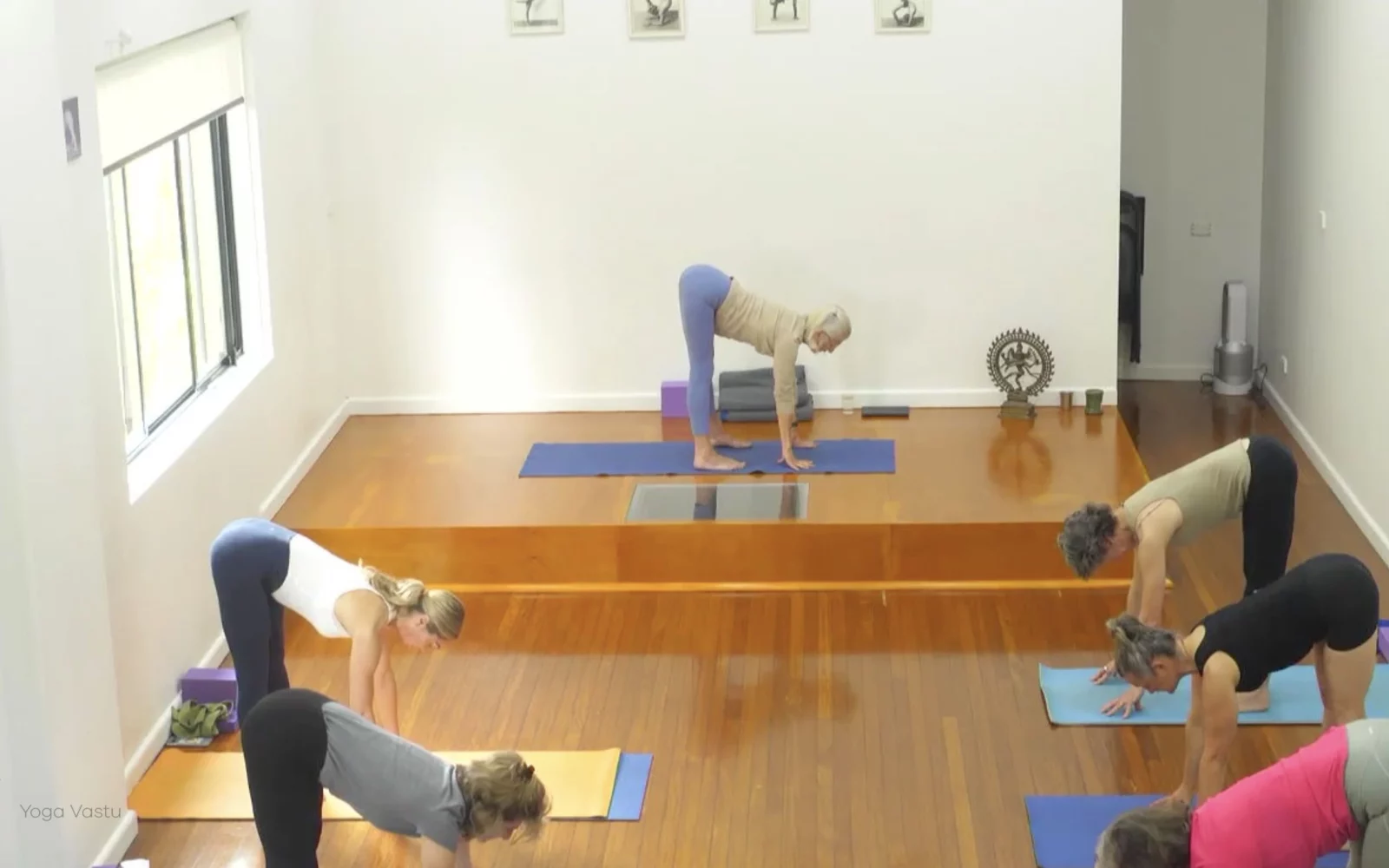 Online Iyengar yoga videos | Advanced Class 6: Expanding through the Chest and Collarbones