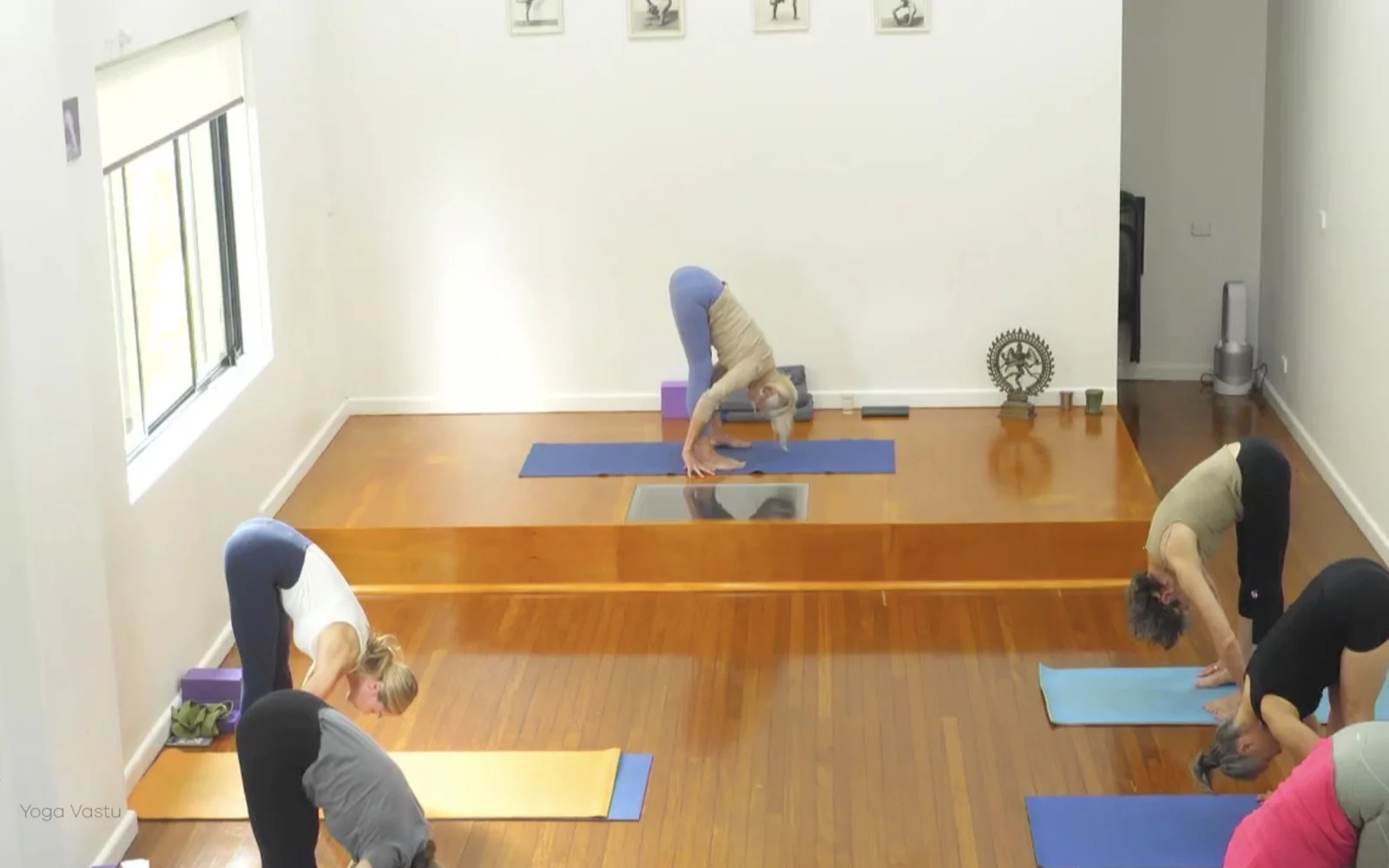 Online Iyengar yoga videos | Advanced Class 6: Expanding through the Chest and Collarbones