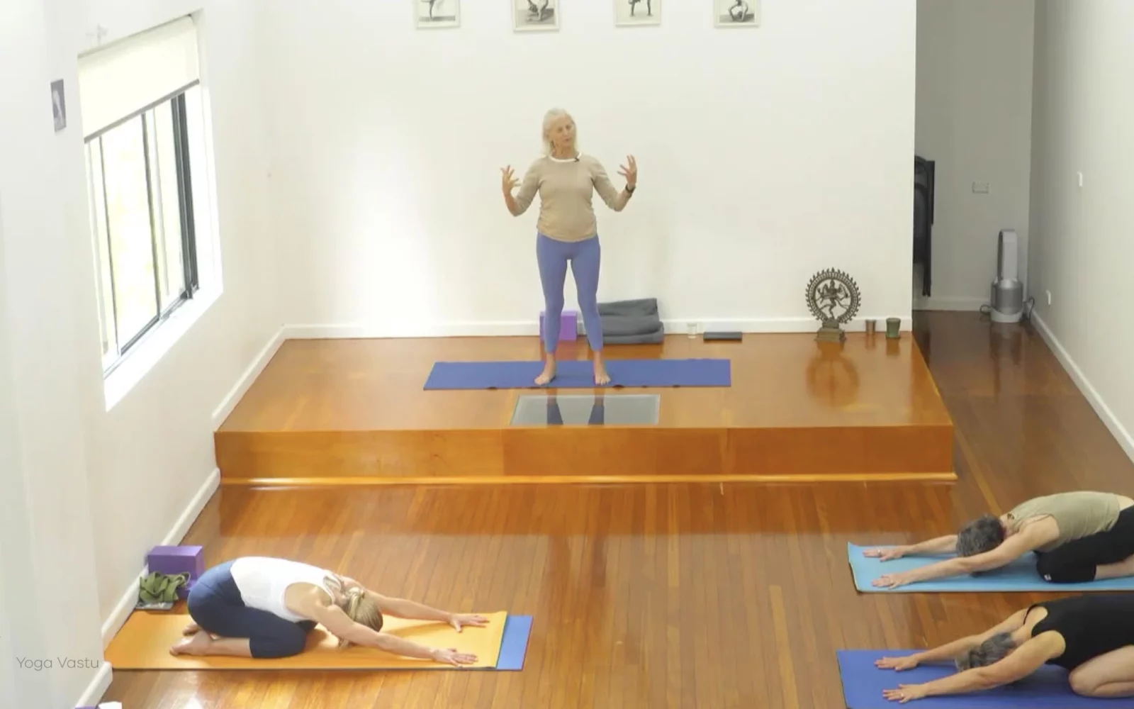 Online Iyengar yoga videos | Advanced Class 6: Expanding through the Chest and Collarbones