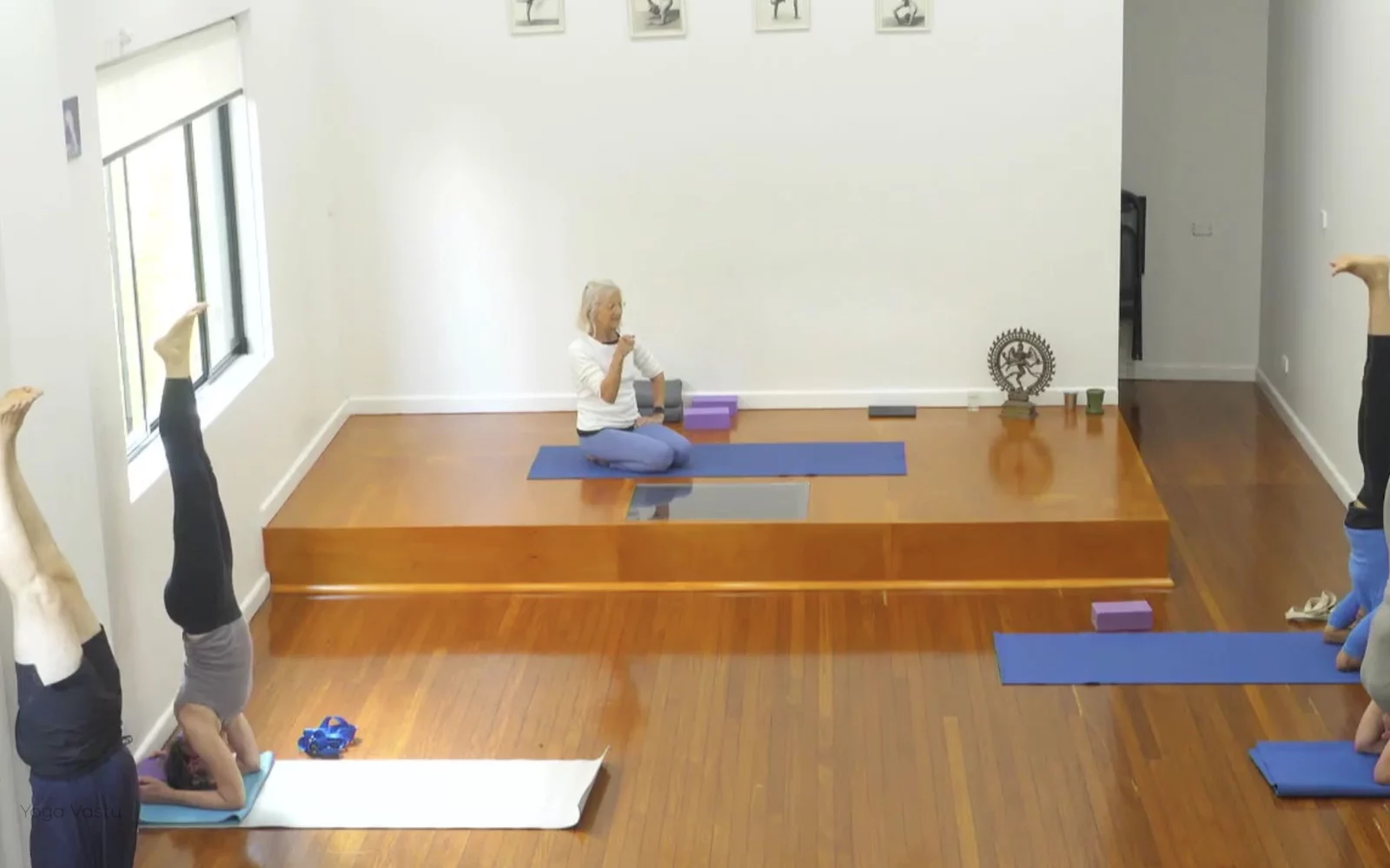 Online Iyengar yoga videos | Advanced Class 7: Spreading Through the Collarbones in Backbends