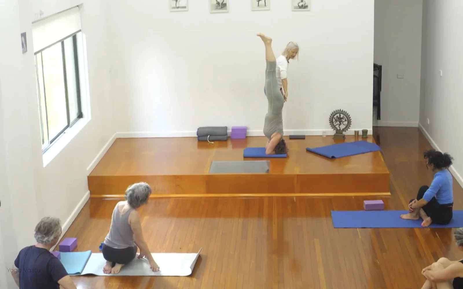 Online Iyengar yoga videos | Advanced Class 7: Spreading Through the Collarbones in Backbends