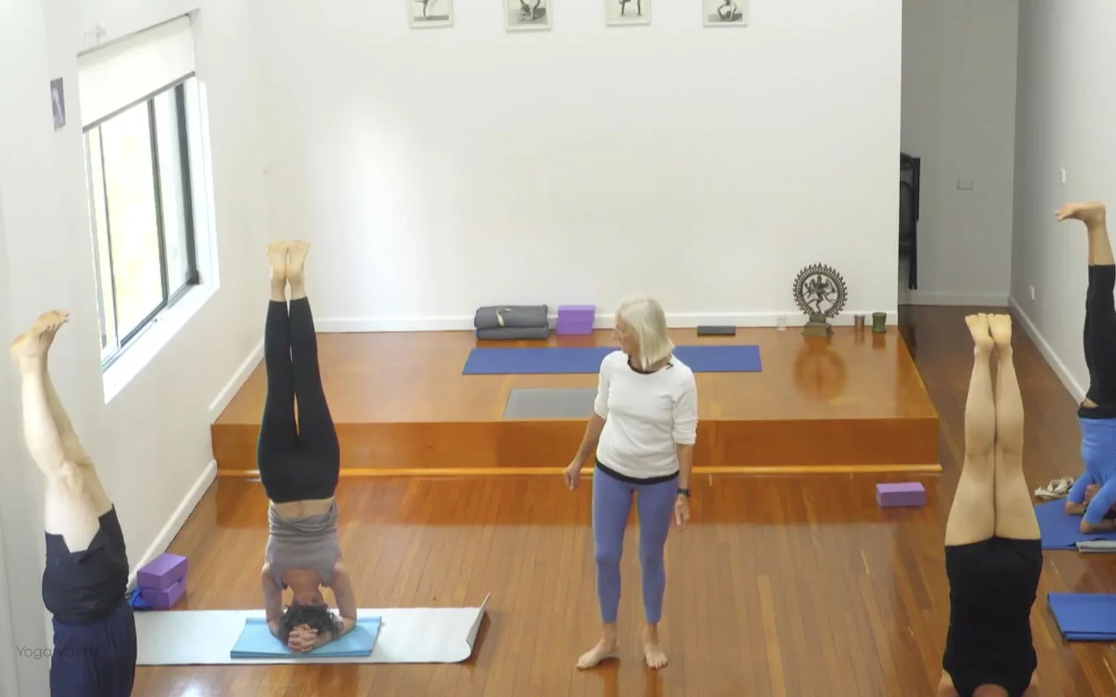 Online Iyengar yoga videos | Advanced Class 7: Spreading Through the Collarbones in Backbends