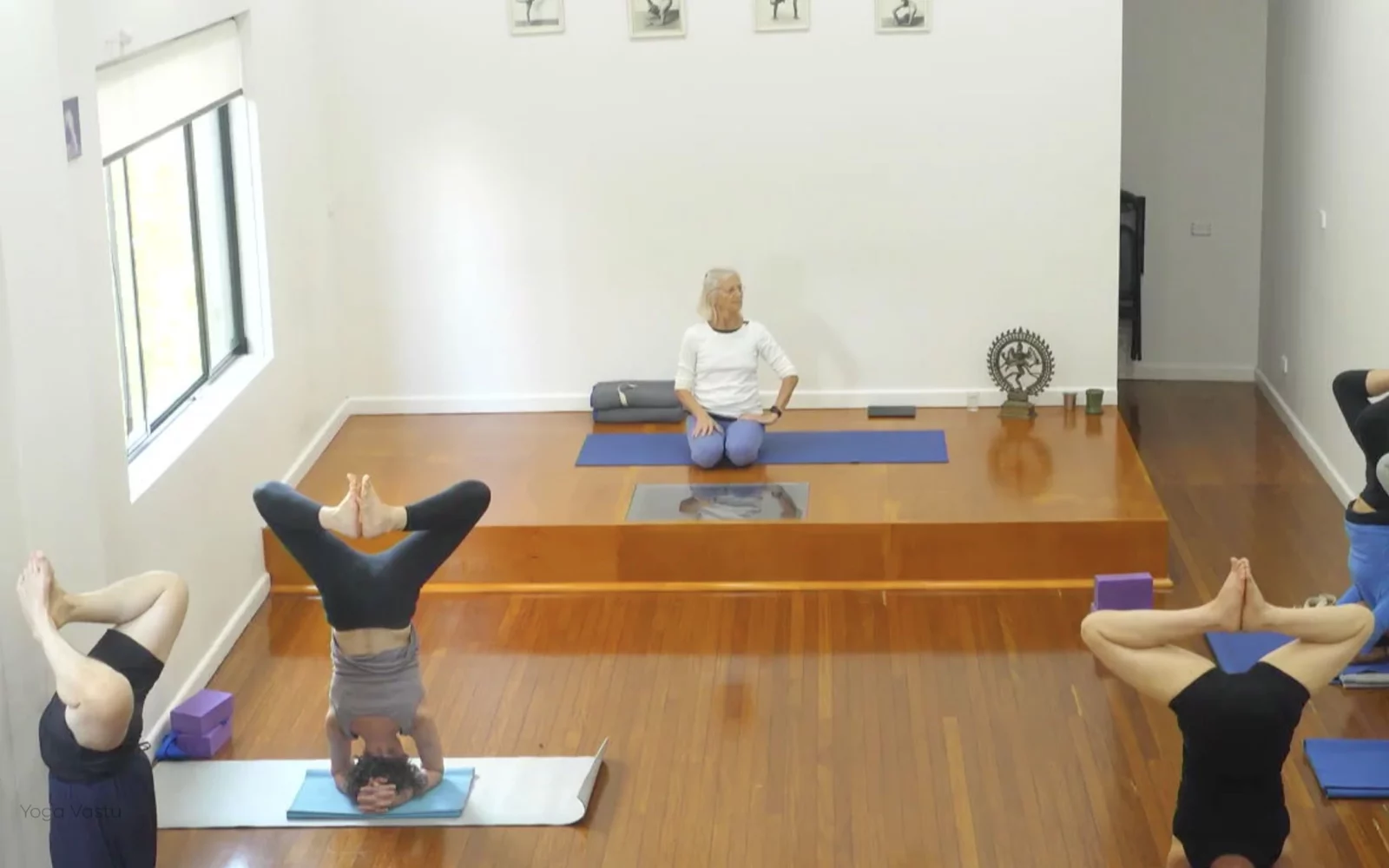 Online Iyengar yoga videos | Advanced Class 7: Spreading Through the Collarbones in Backbends