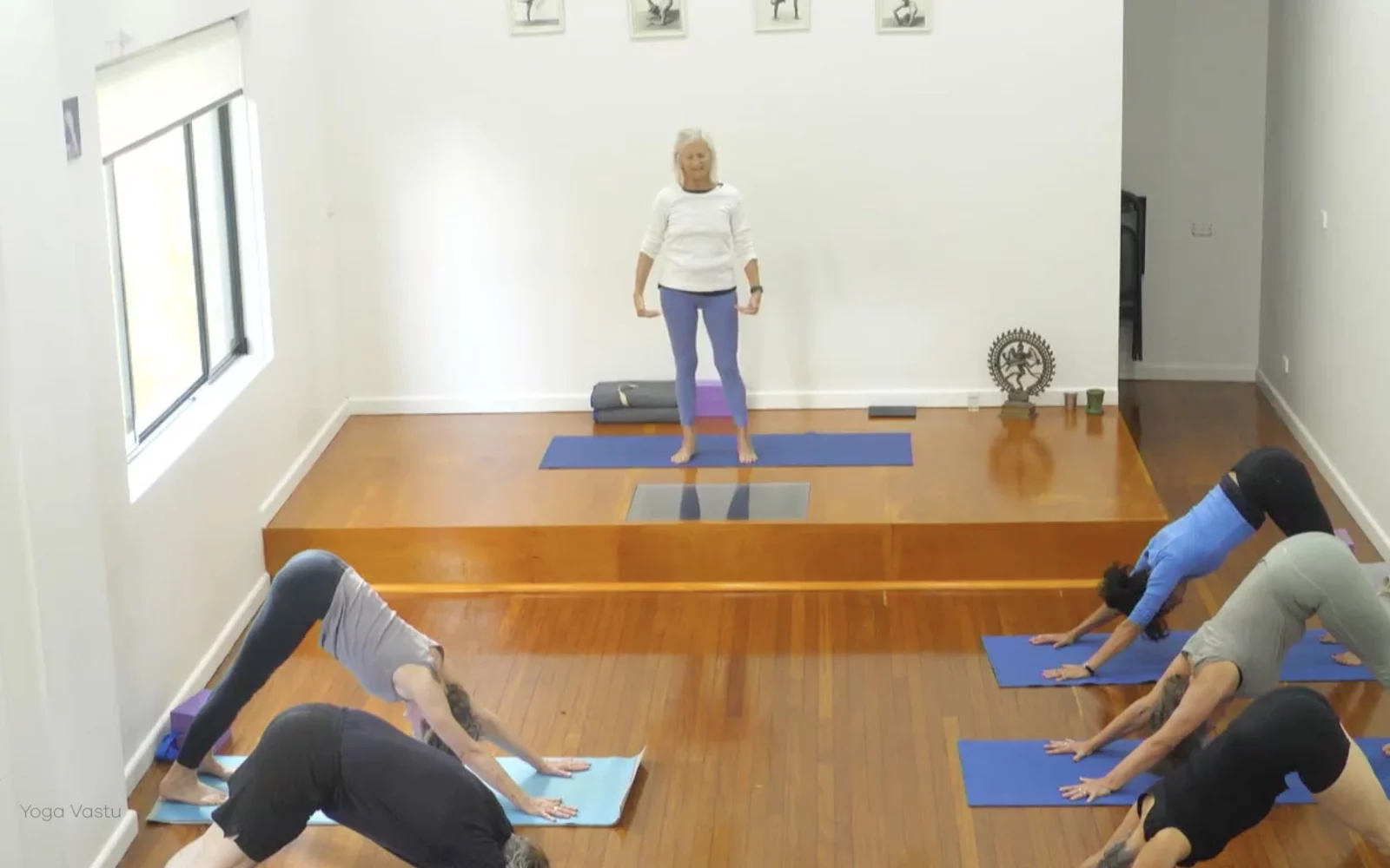 Online Iyengar yoga videos | Advanced Class 7: Spreading Through the Collarbones in Backbends