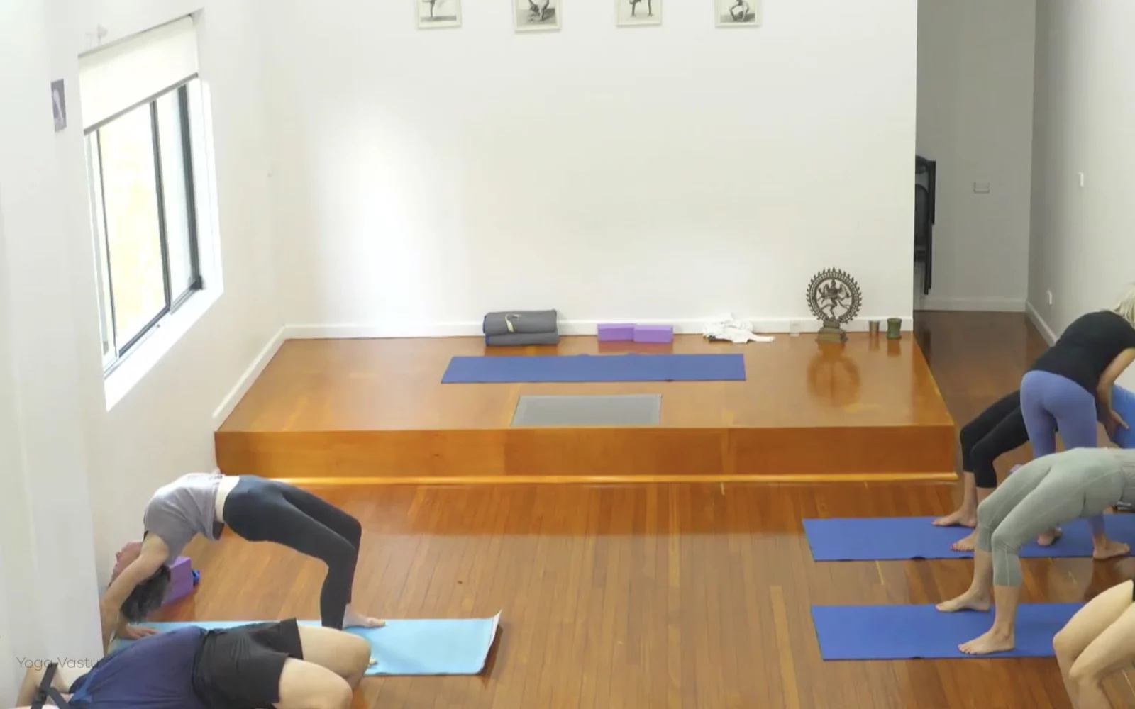 Online Iyengar yoga videos | Advanced Class 7: Spreading Through the Collarbones in Backbends