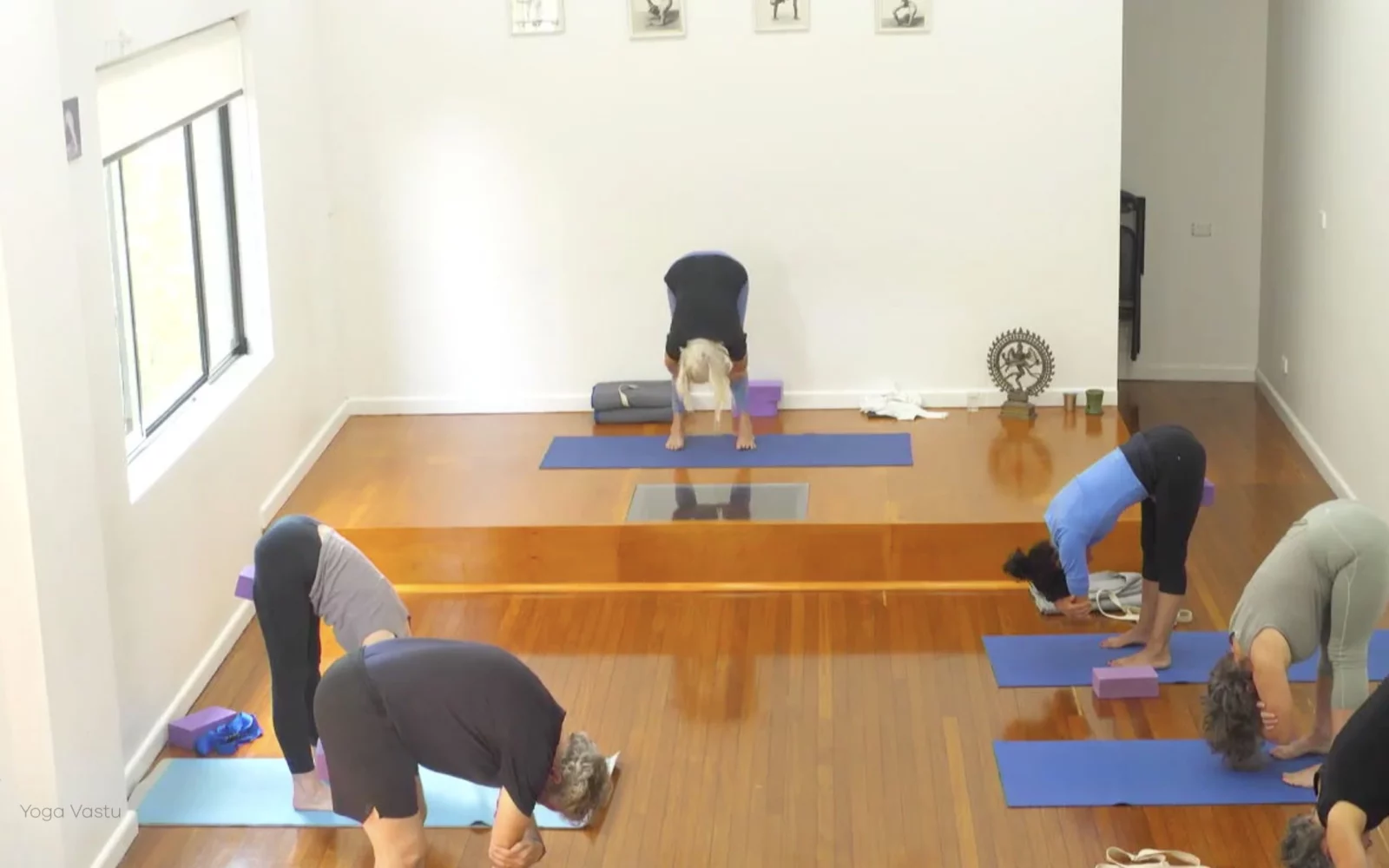 Online Iyengar yoga videos | Advanced Class 7: Spreading Through the Collarbones in Backbends