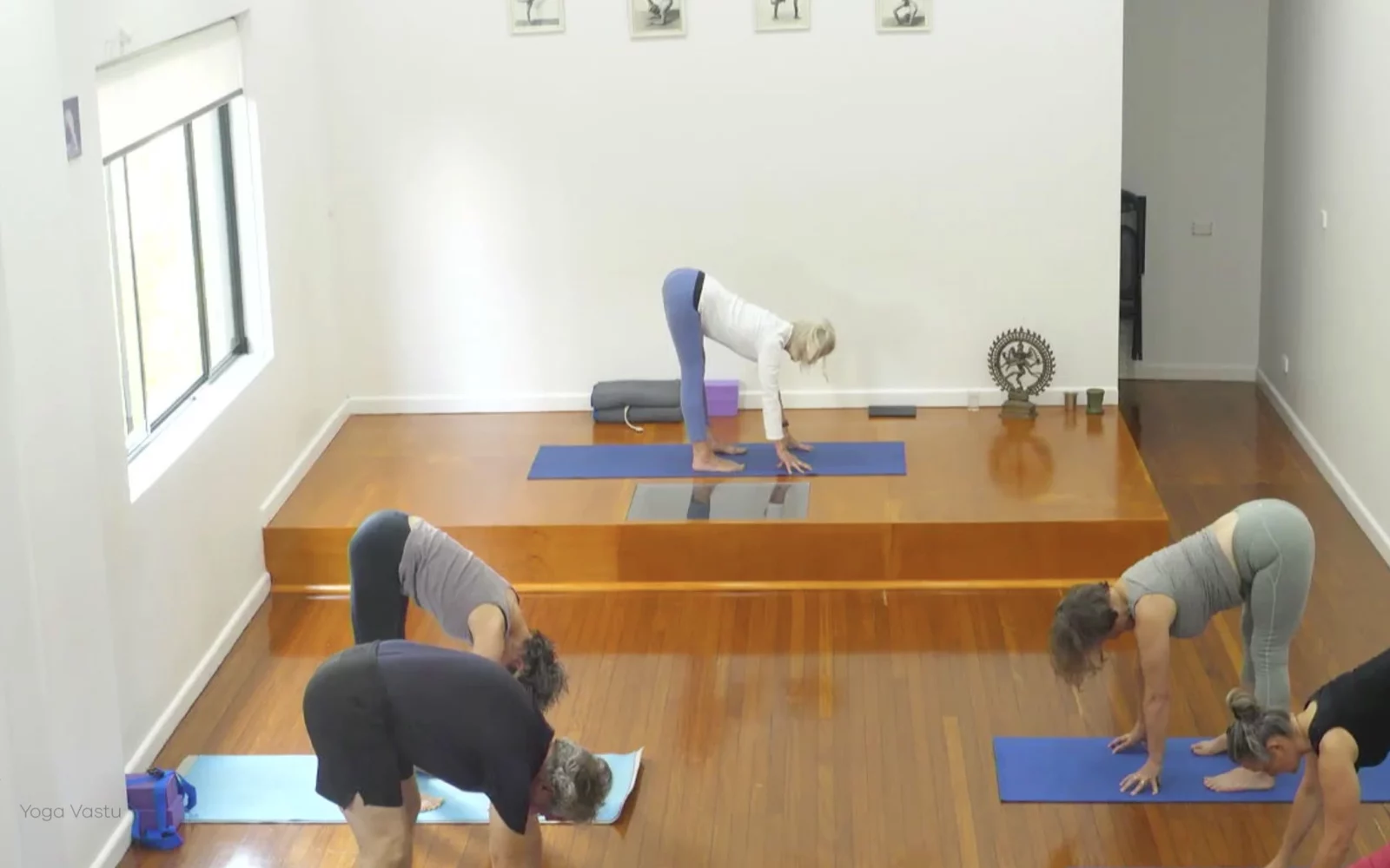 Online Iyengar yoga videos | Advanced Class 7: Spreading Through the Collarbones in Backbends
