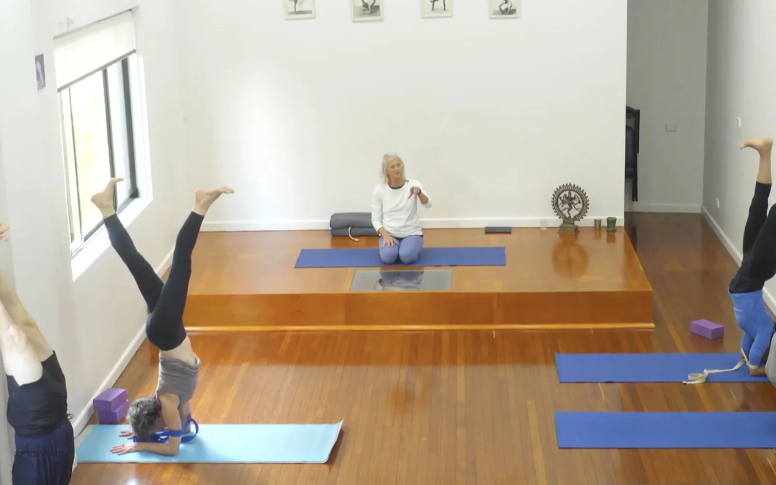 Online Iyengar yoga videos | Advanced Class 7: Spreading Through the Collarbones in Backbends