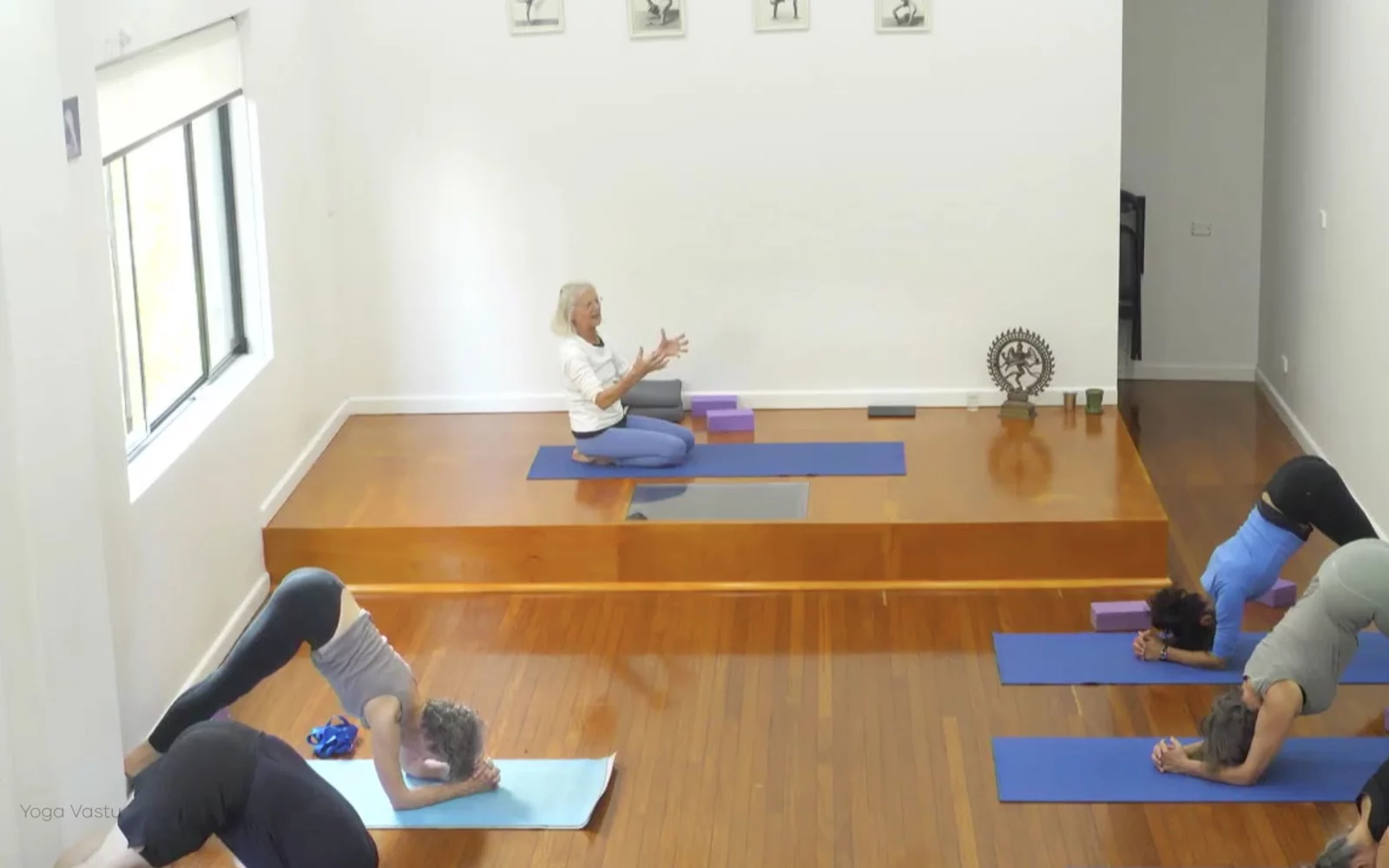 Online Iyengar yoga videos | Advanced Class 7: Spreading Through the Collarbones in Backbends