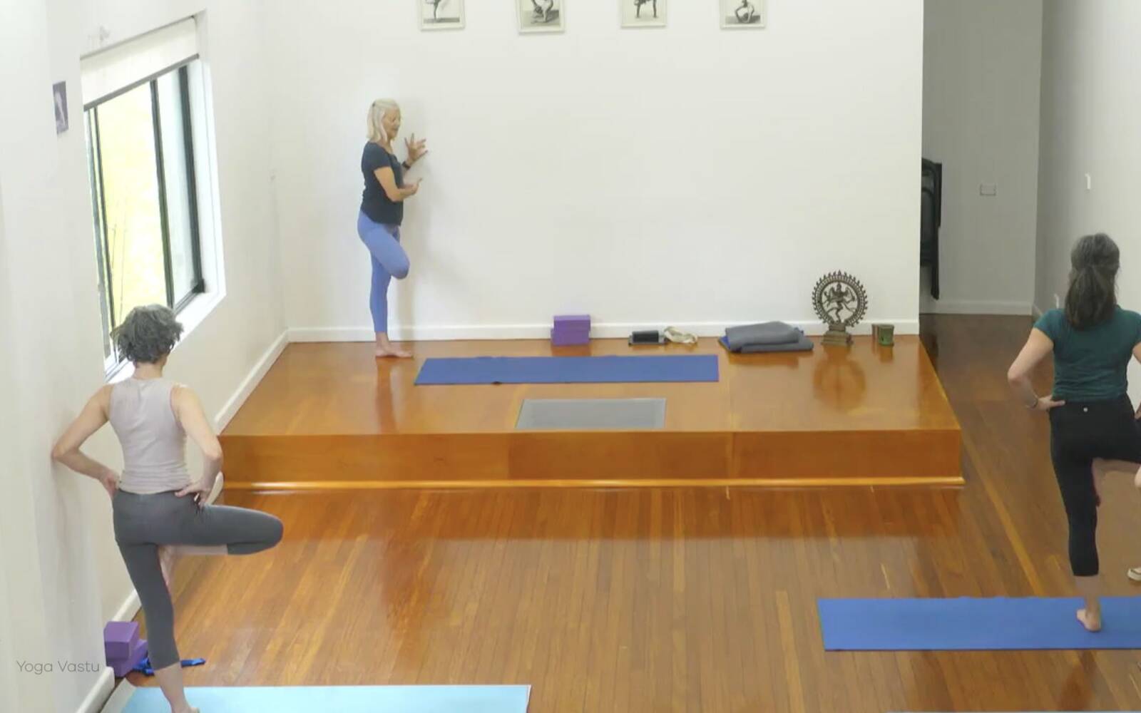 Online Iyengar yoga videos | Advanced Class 9: Engaging the Legs in Standing Poses