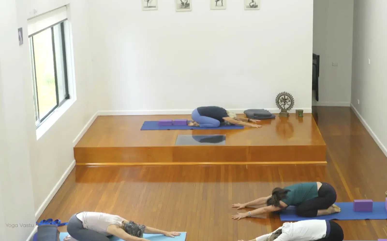 Online Iyengar yoga videos | Advanced Class 9: Engaging the Legs in Standing Poses