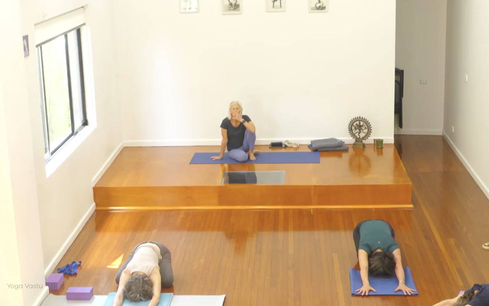 Online Iyengar yoga videos | Advanced Class 9: Engaging the Legs in Standing Poses
