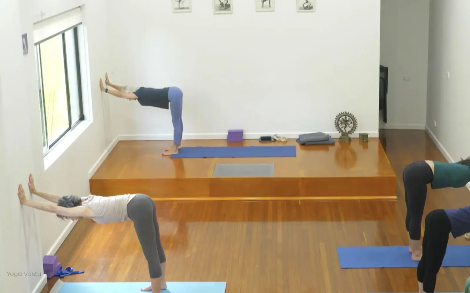 Online Iyengar yoga videos | Advanced Class 9: Engaging the Legs in Standing Poses