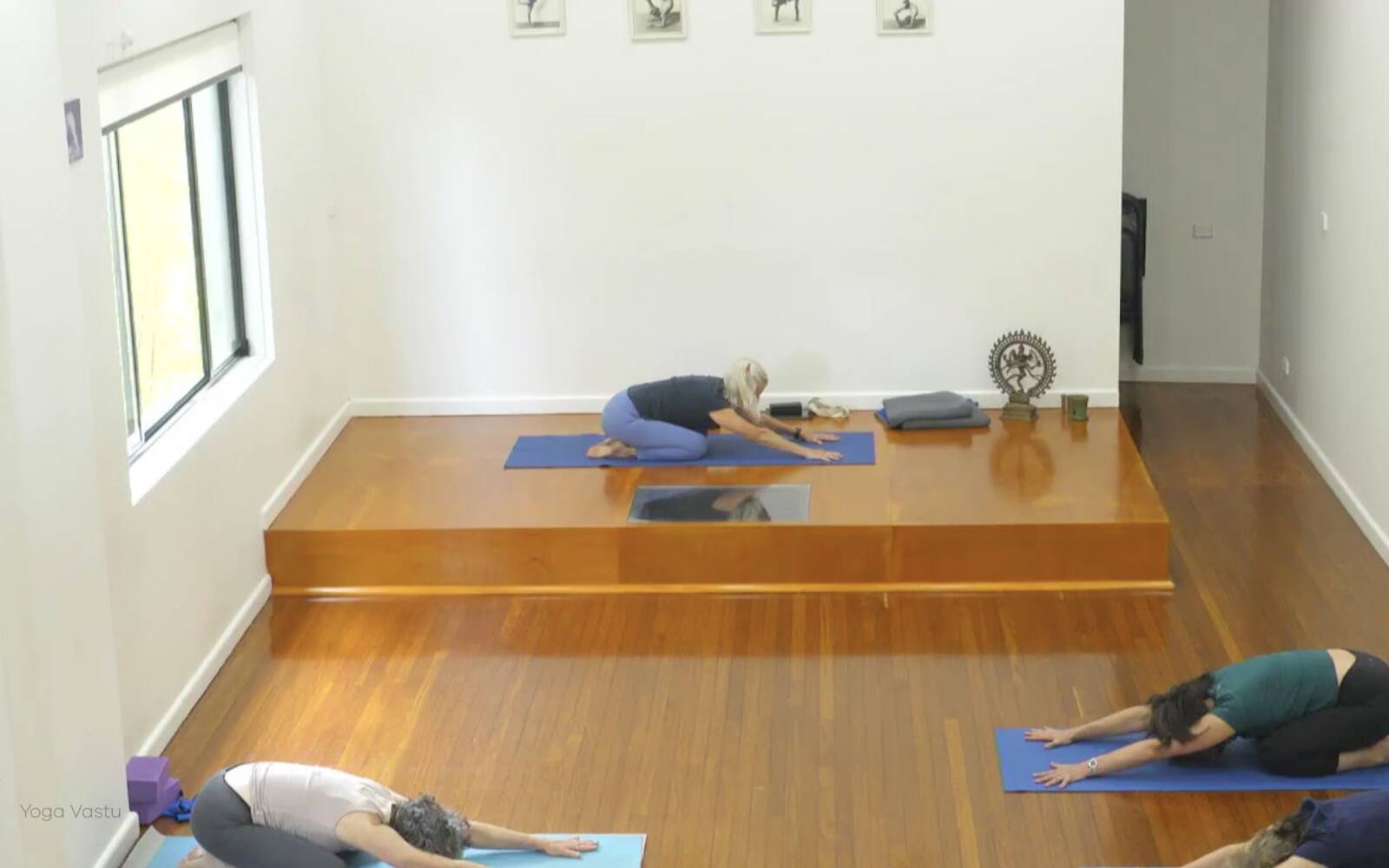 Online Iyengar yoga videos | Advanced Class 9: Engaging the Legs in Standing Poses